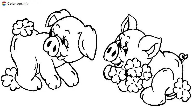 Coloriage 2 cochons avec des fleurs - Cochons à imprimer