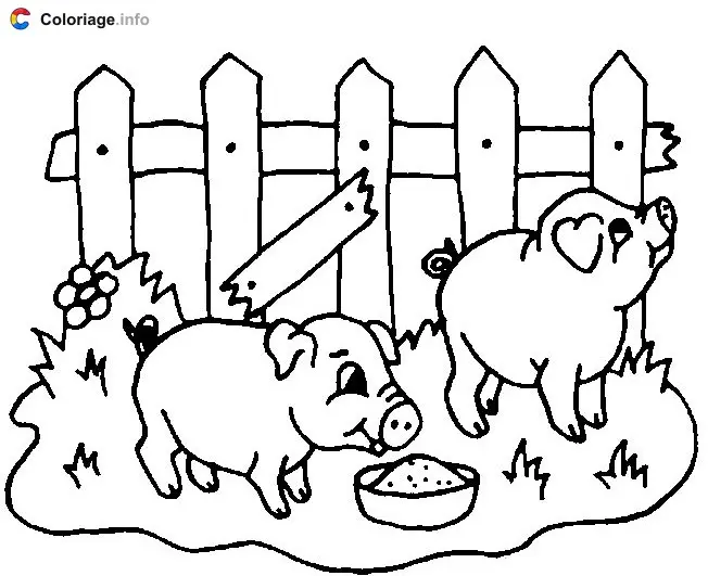 Coloriage 2 cochons dans un enclos - Cochons à imprimer
