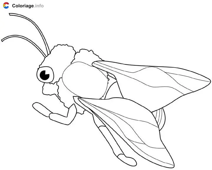 Coloriage Abeille - Insectes à imprimer