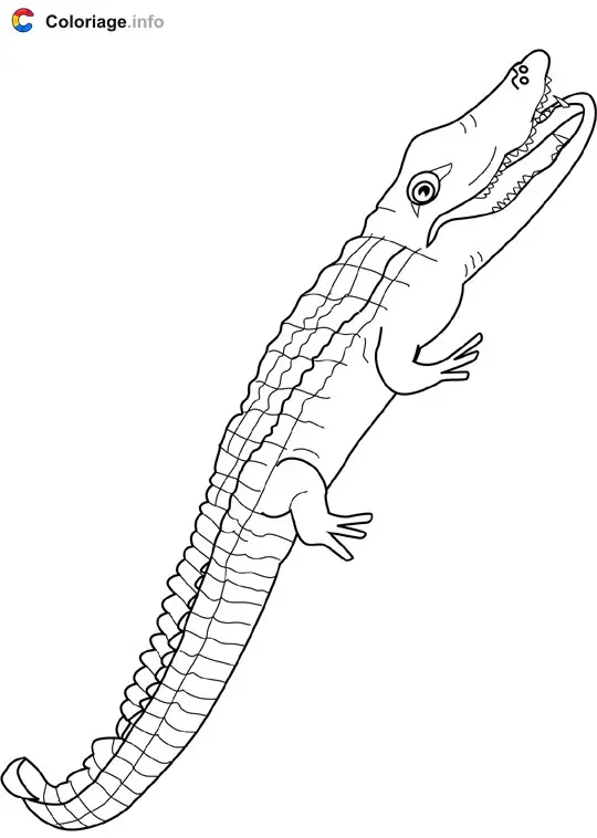 Coloriage Alligator - Océan à imprimer