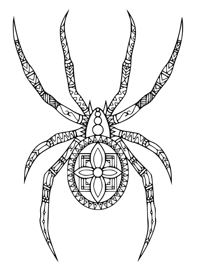 Coloriage Araignée Dessinee Dans Style Doodle - Araignée à imprimer