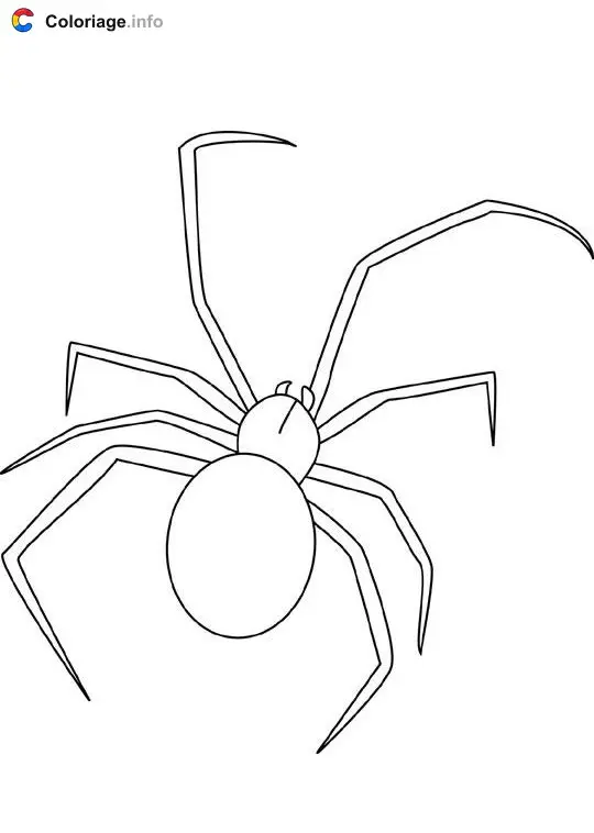 Coloriage Araignée veuve noire - Insectes à imprimer