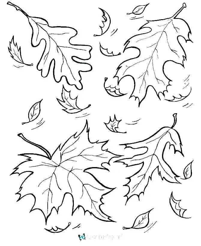 Coloriage Automne Feuilles Fall - Feuille automne à imprimer