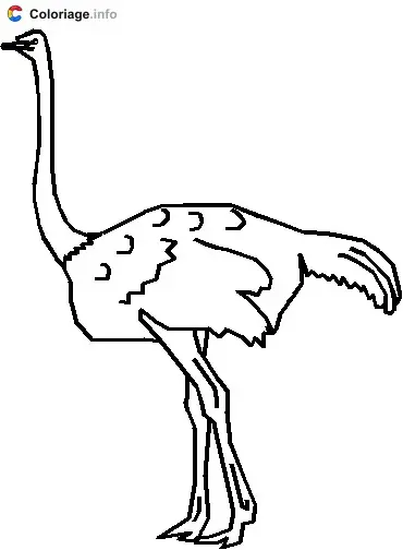 Coloriage Autruche avec son grand cou - Autruche à imprimer
