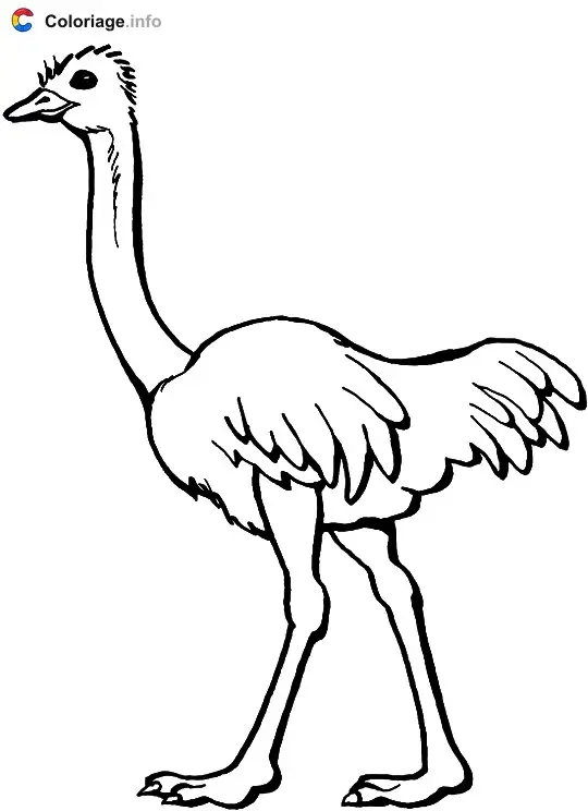 Coloriage Autruche d'Afrique - Autruche à imprimer