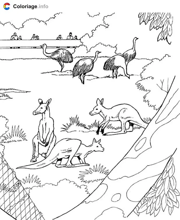 Coloriage Autruches et trois kangourous - Kangourou à imprimer