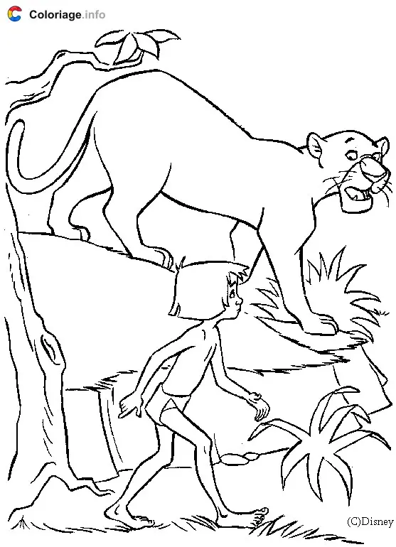 Coloriage Bagheera et Mowgli marchent dans la jungle - Le Livre de la jungle à imprimer