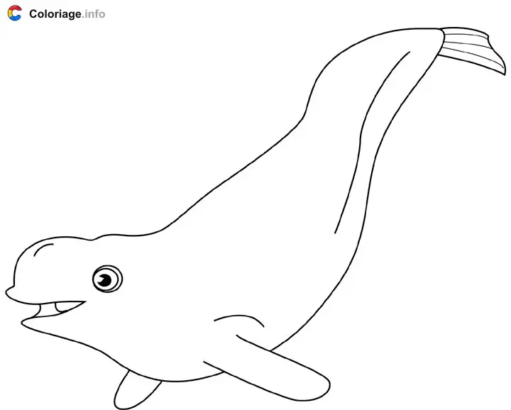 Coloriage Baleine blanche béluga - Baleines à imprimer