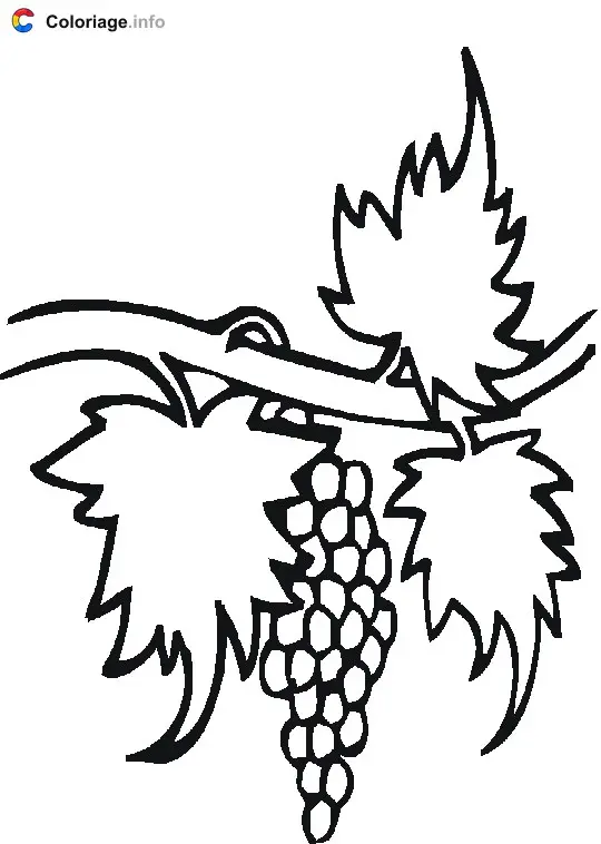 Coloriage Branche d'une vigne - Raisin à imprimer