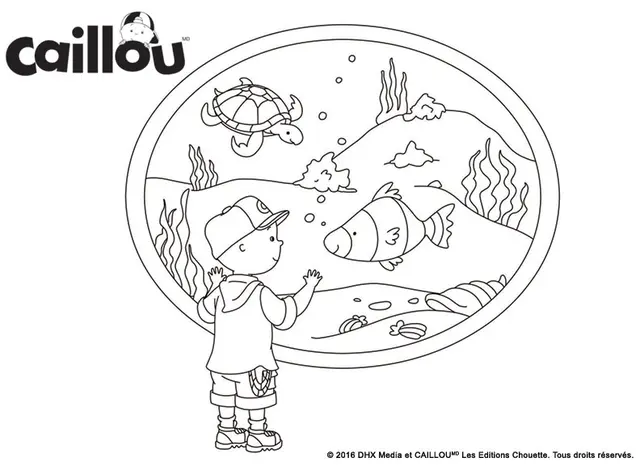 Coloriage Caillou Visite Un Aquarium Avec Des Animaux Marins - Caillou à imprimer