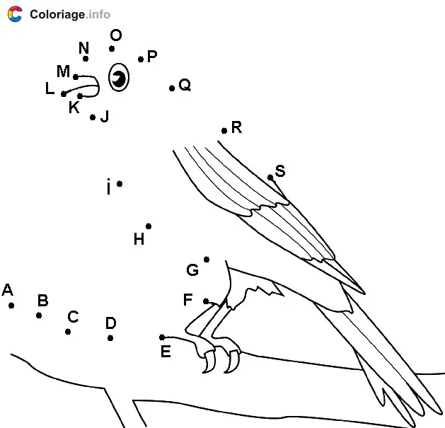 Coloriage Canari sur une branche - Points a relier à imprimer