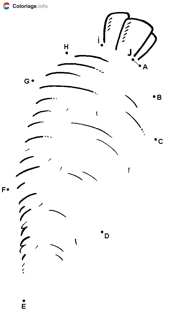 Coloriage Carotte - Points a relier à imprimer