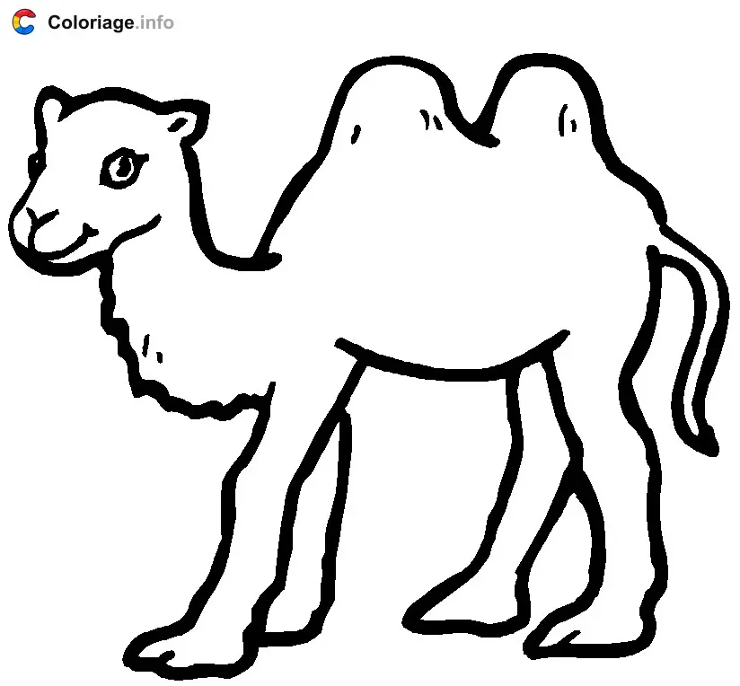Coloriage Chameau à colorier - Chameau à imprimer