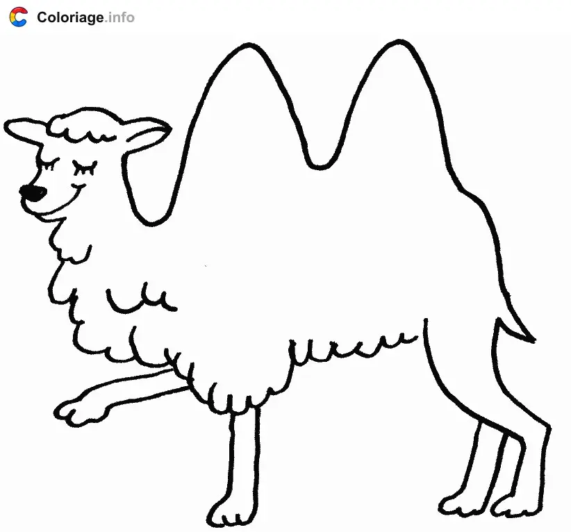 Coloriage Chameau avec ses 2 bosses - Chameau à imprimer