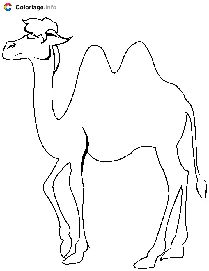 Coloriage Chameau de profil - Chameau à imprimer