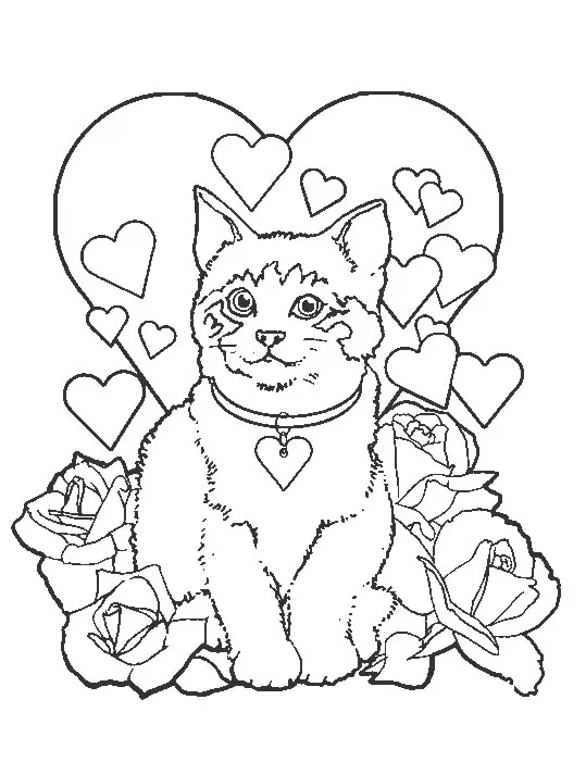 Coloriage Chaton Siamois - Chat à imprimer