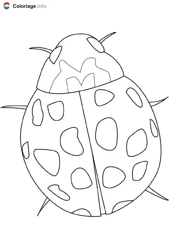 Coloriage Coccinelle - Insectes à imprimer