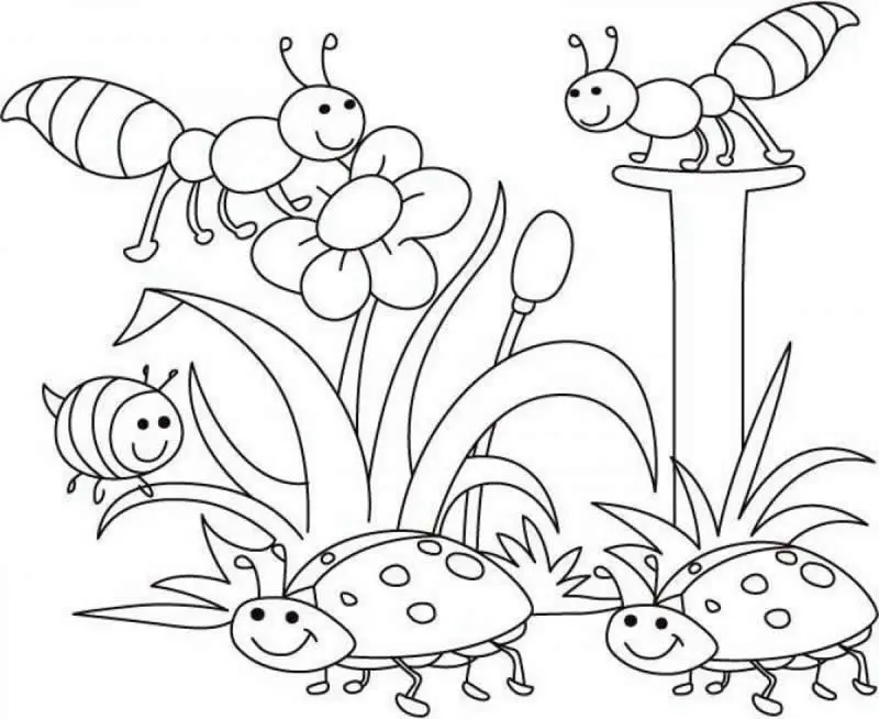 Coloriage Coccinnelle Printemps Fleurs Nature - Nature à imprimer