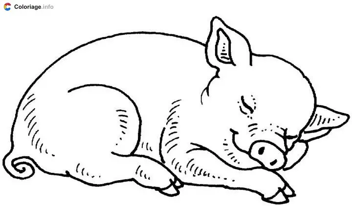 Coloriage Cochon qui dort - Cochons à imprimer