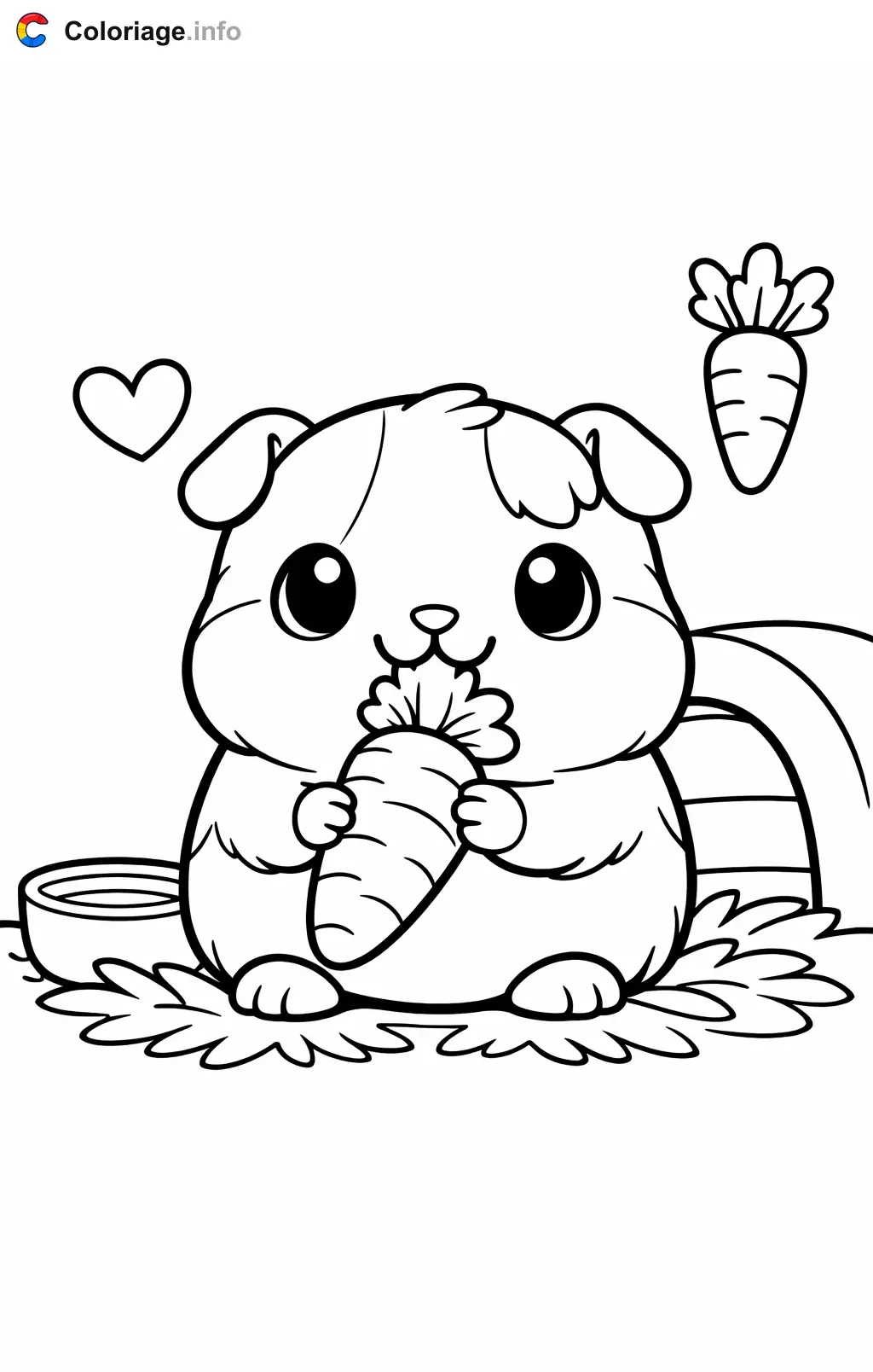 Coloriage Cochon d'Inde qui grignote une carotte - Cochon d'Inde à imprimer