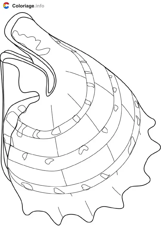 Coloriage Conque - Crustacés à imprimer