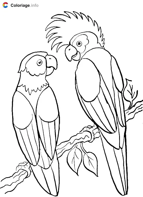 Parrot Couple coloring page to print