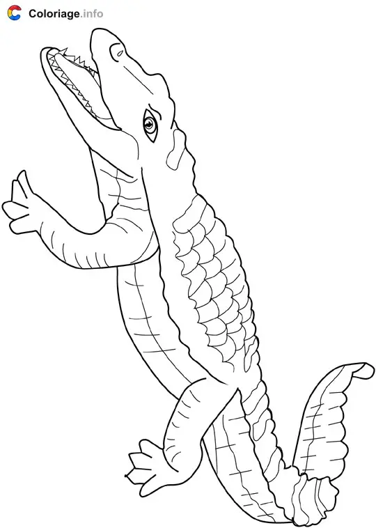 Coloriage Crocodile - Océan à imprimer