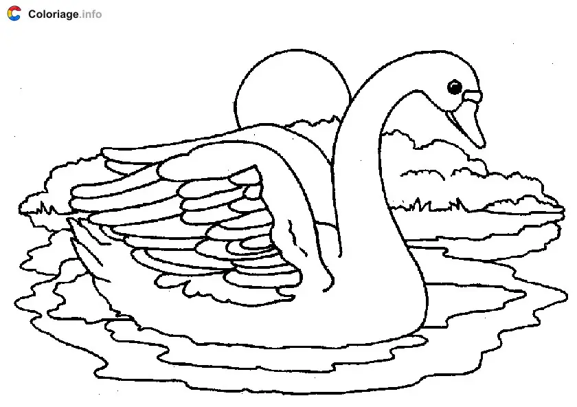 Coloriage Cygne au coucher du soleil - Cygne à imprimer