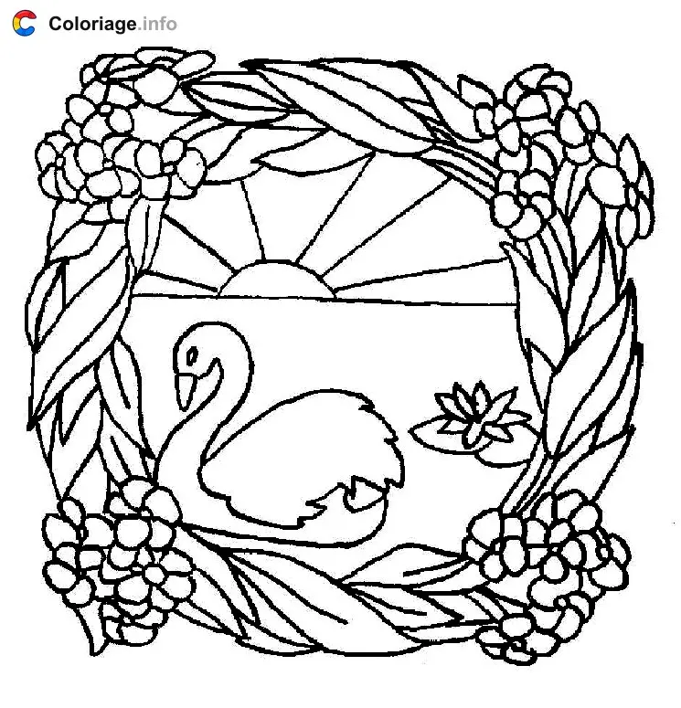 Coloriage Cygne avec cadre de fleur - Cygne à imprimer