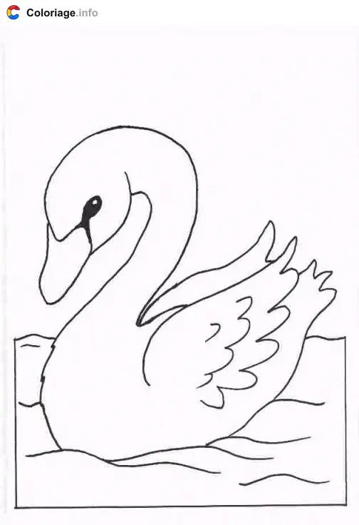 Coloriage Cygne - Cygne à imprimer