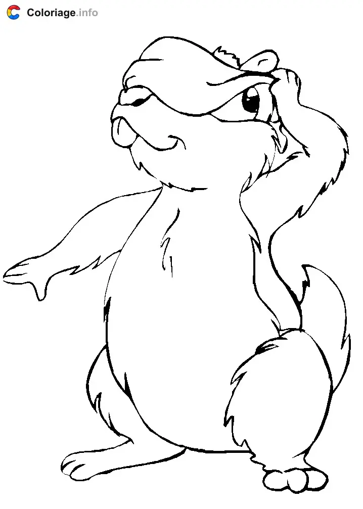 Coloriage D'une marmotte - Marmotte à imprimer