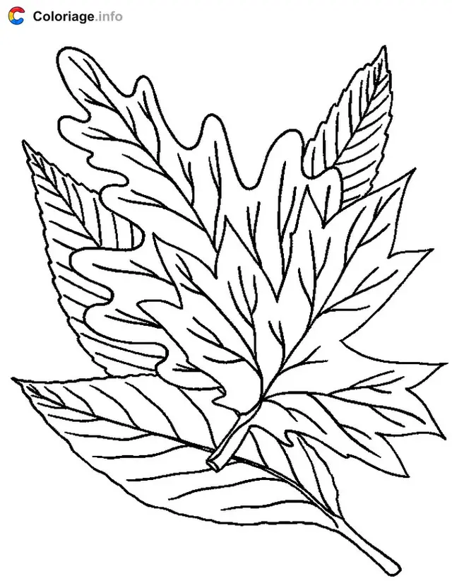 Coloriage Des feuilles tombées - Automne à imprimer