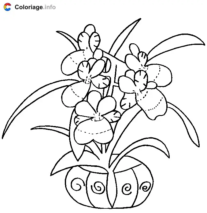 Coloriage Des orchidées dans un pot - Plantes à imprimer