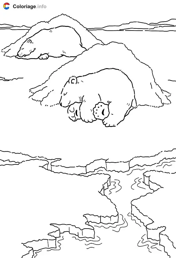 Coloriage Des ours blancs qui dorment sur la banquise - Ours à imprimer