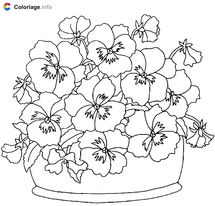 Coloriage Des pensées - Plantes à imprimer