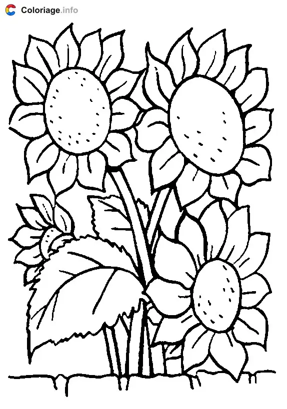 Coloriage Des tournesols tournés vers le soleil - Plantes à imprimer
