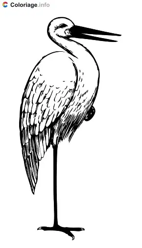 Coloriage Dessin à colorier d'une cigogne - Cigogne à imprimer