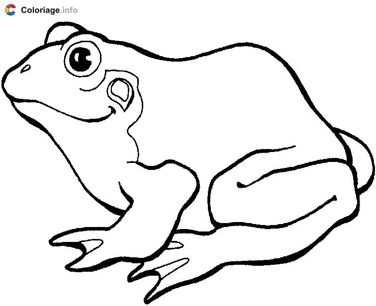 Coloriage Dessin à colorier d'une grenouille - Grenouille à imprimer