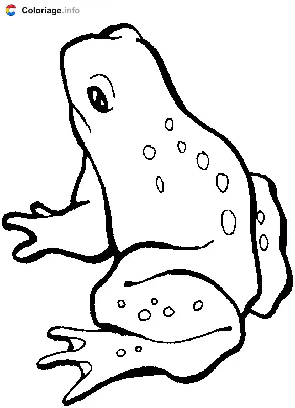 Coloriage Dessin d'un crapaud - Grenouille à imprimer