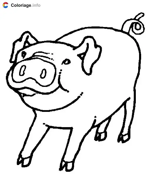 Coloriage Dessin d'un porc - Cochons à imprimer