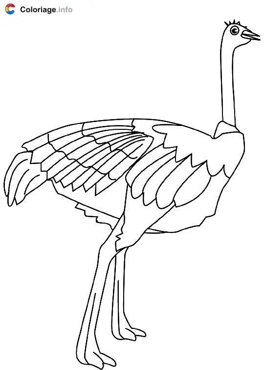 Coloriage Dessin d'une autruche - Autruche à imprimer