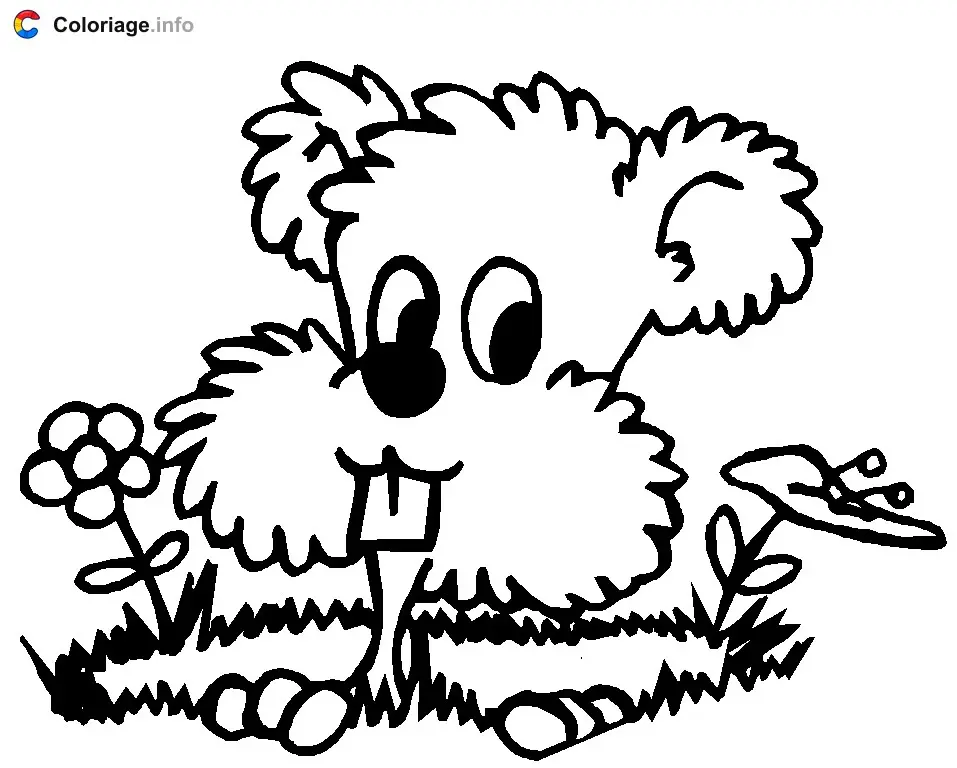 Coloriage Dessin d'une marmotte avec des fleurs - Marmotte à imprimer