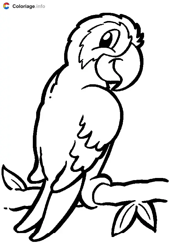 Parrot coloring page to print