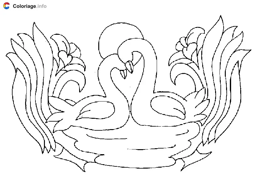Coloriage Deux cygnes avec coucher de soleil - Cygne à imprimer
