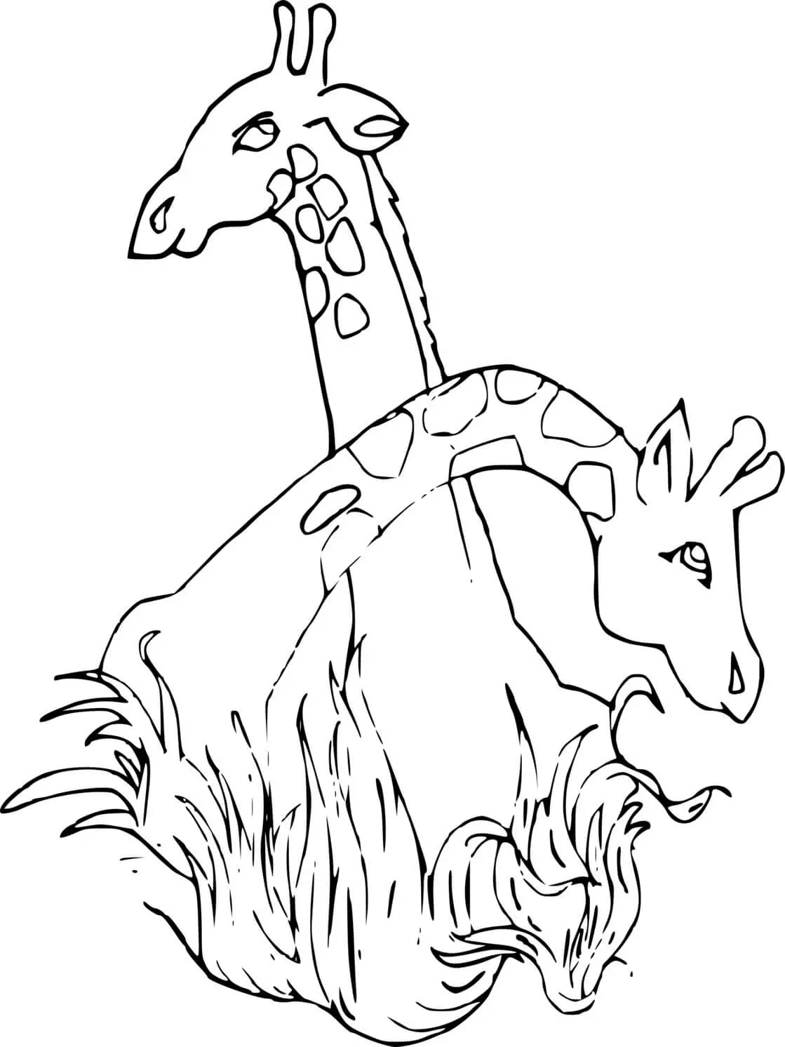 Disegno di Due Teste di Giraffe da stampare