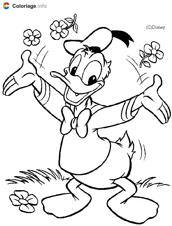 Donald Duck with Flowers coloring page to print