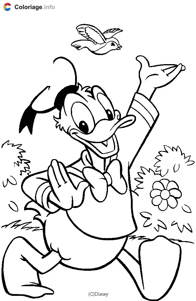 Donald Duck Takes a Stroll coloring page to print