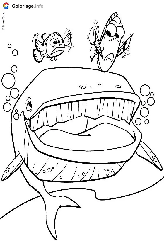 Dory, Marlin and a Whale coloring page to print