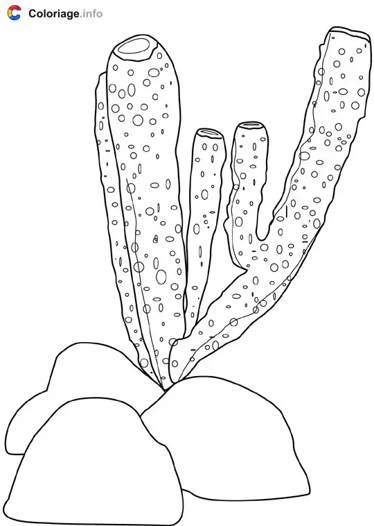 Coloriage Éponge - Océan à imprimer