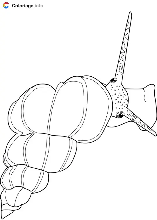 Coloriage Escargot de mer - Crustacés à imprimer